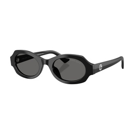 Irregular Sunglasses AR8245HU