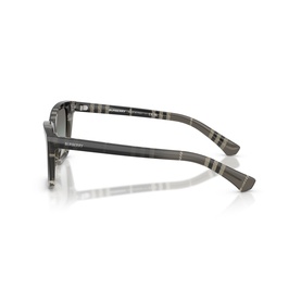 Cat Eye Sunglasses BE4468
