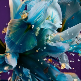 Allegra Spettacolore Eau de Parfum