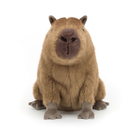 Clyde Capybara 21cm