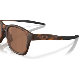 Square Sunglasses OO9507D