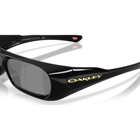 Rectangle Sunglasses OO9520