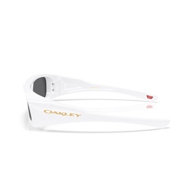 Rectangle Sunglasses OO9520