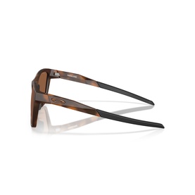 Square Sunglasses OO9506D