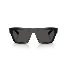 Rectangle Sunglasses PR C03S
