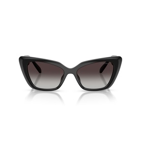 Cat Eye Sunglasses SK6047
