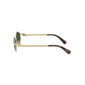 Oval Sunglasses SK7033