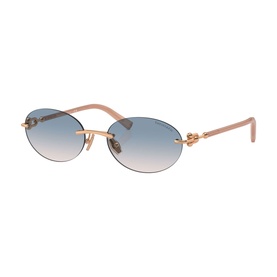 Oval Sunglasses TF3104D
