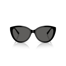 Cat Eye Sunglasses TF4251