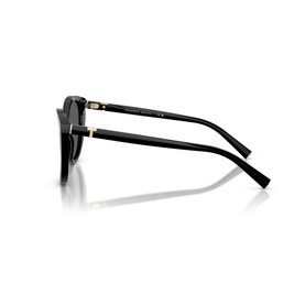 Cat Eye Sunglasses TF4251