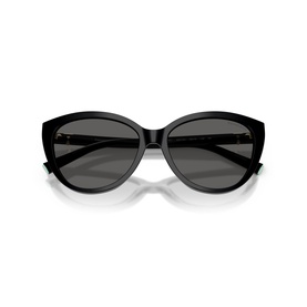 Cat Eye Sunglasses TF4251