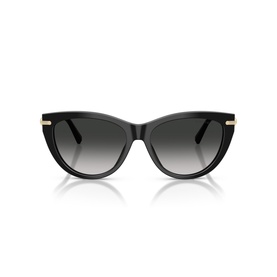 Cat Eye Sunglasses TF4253