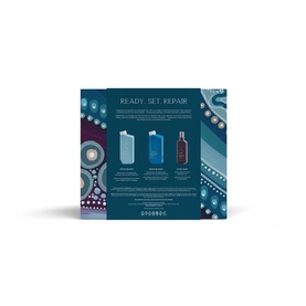 Ready Set Repair Gift Set