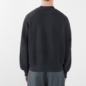 Washed Raglan Sweatshirt