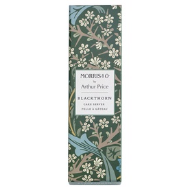 Blackthorn Cake Server