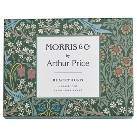 Blackthorn Six-Piece Teaspoon Set