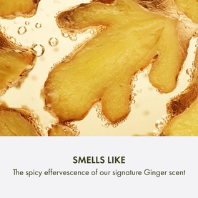 Ginger Exfoliating Body Wash