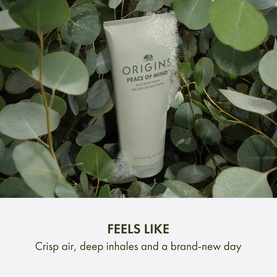 Peace Of Mind Body Wash