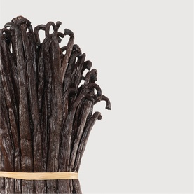 Vanilla Powder Extrait