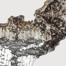 Falcon Leather Extrait