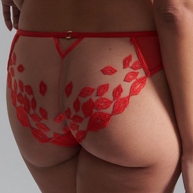 Marian Red Lip Sheer Briefs