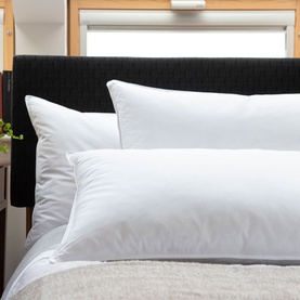 Duck Down Surround Pillow 