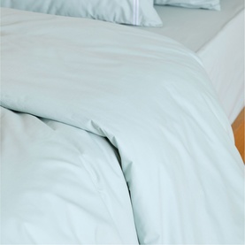 180 Thread Count Evelyn Sage Duvet Cover Set