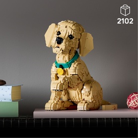 Icons Golden Retriever Puppy Building Set for Adults