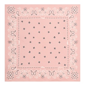 Bandana Paisley Silk Scarf