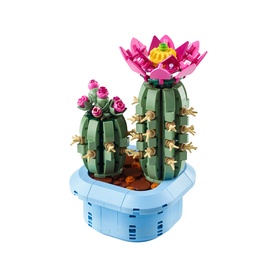 Botanicals Flowering Cactus Plants D&eacute;cor