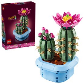Botanicals Flowering Cactus Plants D&eacute;cor