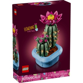 Botanicals Flowering Cactus Plants D&eacute;cor