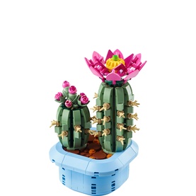 Botanicals Flowering Cactus Plants D&eacute;cor