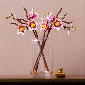 Botanicals Magnolia Branches Flower D&eacute;cor Building Set for Adults