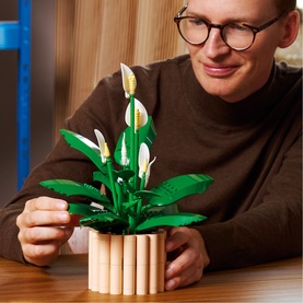 Botanicals Peace Lily Flower D&eacute;cor Set