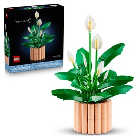 Botanicals Peace Lily Flower D&eacute;cor Set