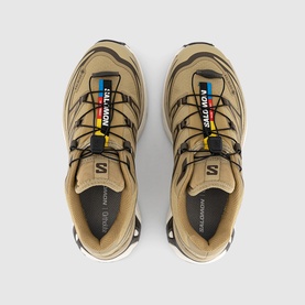 XT-6 GTX Trainers
