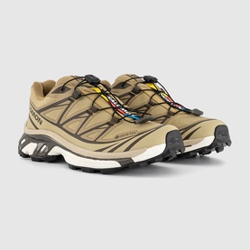 XT-6 GTX Trainers