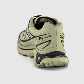 XT-6 GTX Trainers