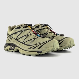 XT-6 GTX Trainers