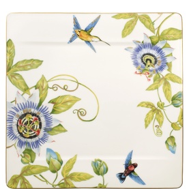 Amazonia Gourmet Plate 35cm