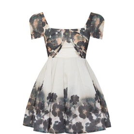Vanda Dusty Poppy Mini Dress