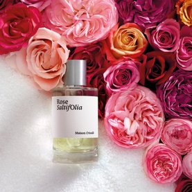 Rose Saltifolia Eau de Parfum