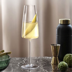 MetroChic Champagne Flute, Set of Two