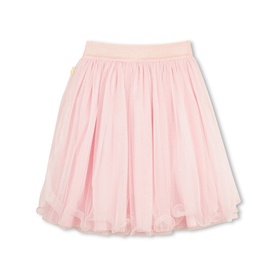 Embroidered Mesh Skirt