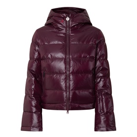 Polar Flare II Down Jacket