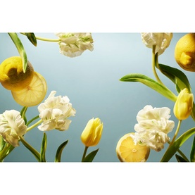 Home Perfume