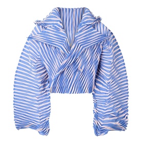 Generic Stripes Double-Breasted Pleated Jacket