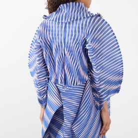 Generic Stripes Double-Breasted Pleated Jacket