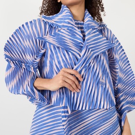 Generic Stripes Double-Breasted Pleated Jacket